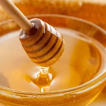 100% Raw Michigan Wildflower Honey 8oz