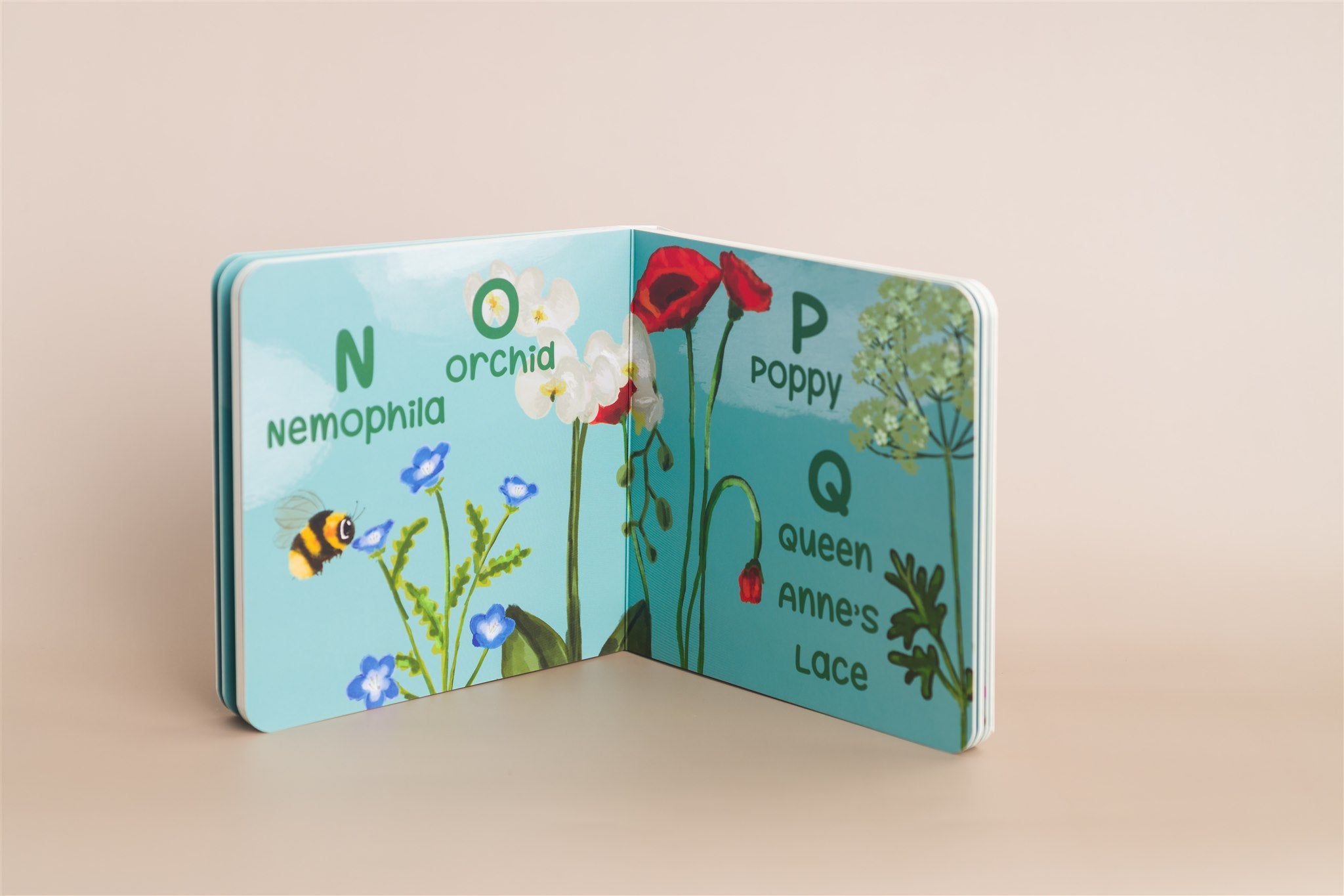 A Bee Sees the Abc's Baby Board Book